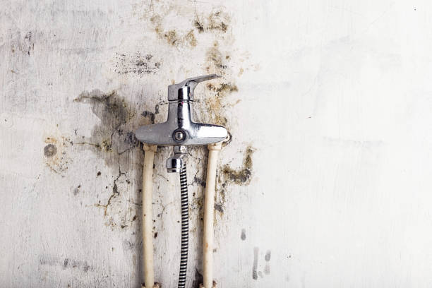 Best Water Damage Restoration  in Lineville, AL