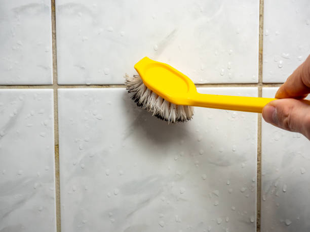 Best Affordable Mold Removal  in Lineville, AL
