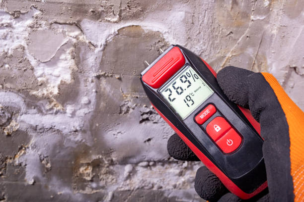 Trusted Lineville, AL Mold Removal Experts