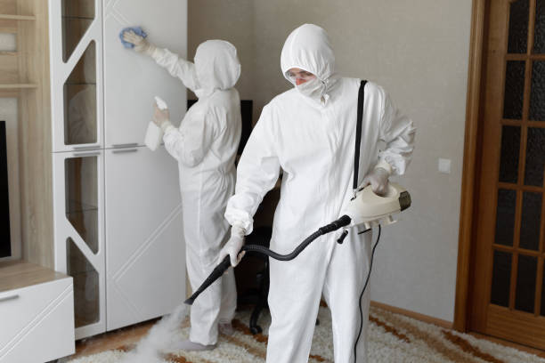 Best Attic Mold Removal  in Lineville, AL