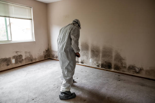 Best Mold Testing  in Lineville, AL
