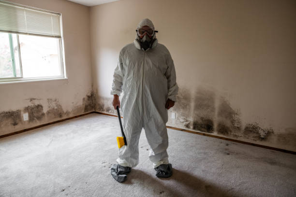 Best Crawl Space Mold Removal  in Lineville, AL